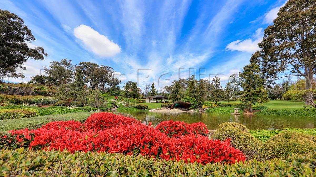 Peter Bellingham Photography Japanese Garden - Cowra